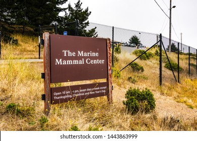 July 4, 2019 Sausalito / CA / USA - The Marine Mammal Center located in Marin Headlands in North San Francisco bay; the center is rescuing, rehabilitating and releasing marine mammals in distress