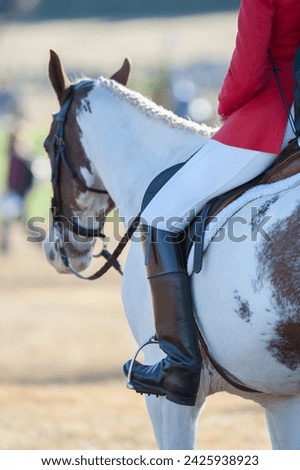 jumper horse ride on paint horse rider wearing long tall black riding boots and red jumper jacket horse wearing english bridle with leather reins english horseback rider vertical image room for type 