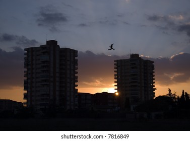 Jumping between buildings