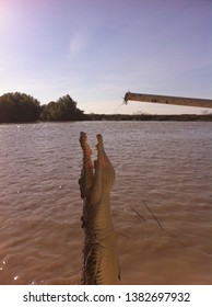 Jumping Crocodile Darwin Northern Territory Australia July 2015