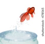 Jumping Fish
