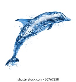 Jumping water dolphin, isolated on white background