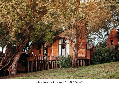 Primitive Houses Images Stock Photos Vectors Shutterstock