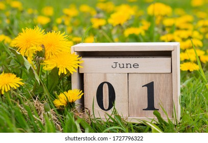 June 01, calendar organizer, the first day of summer on the green grass in yellow dandelions