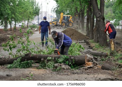 June 11, 2020, Russia, Magnitogorsk. Three Utility Workers Are Sawing And Disposing Of Old Trees Felled By The Wind. Possible Consequences Of A Storm Or Hurricane. City Street