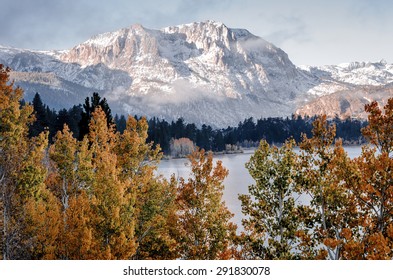 June Lake Autumn