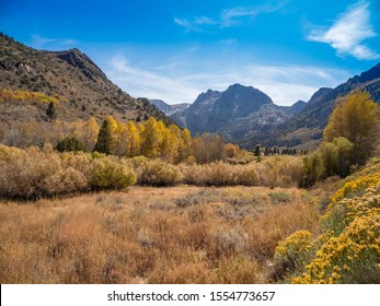 June Lake Trail Fall Colors