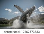 Juneau, Alaska, United States of America. Statue of a Big Wale jumping out from water in a small touristic town.