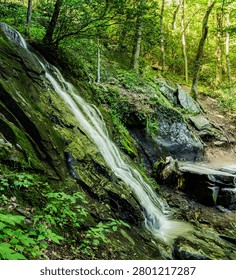 Juney Whank Falls Cascading Eighty Feet Down a Rock Wall, Great Smoky Mountains National Park, North Carolina, USA