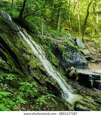Juney Whank Falls Cascading Eighty Feet Down a Rock Wall, Great Smoky Mountains National Park, North Carolina, USA