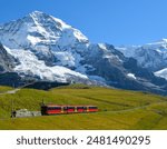 Jungfrau 🇨🇭, This breathtaking view shows a red train making its way through lush green pastures with the towering, snow-covered peaks of the Jungfrau massif rising dramatically in the background.🚂