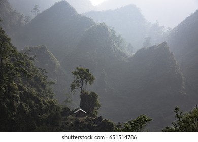Jungle