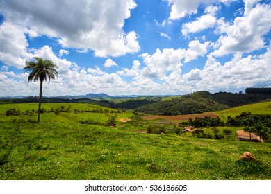 Jungle And Blue Sky - Brazilian Tropical Landscape, Brazil
