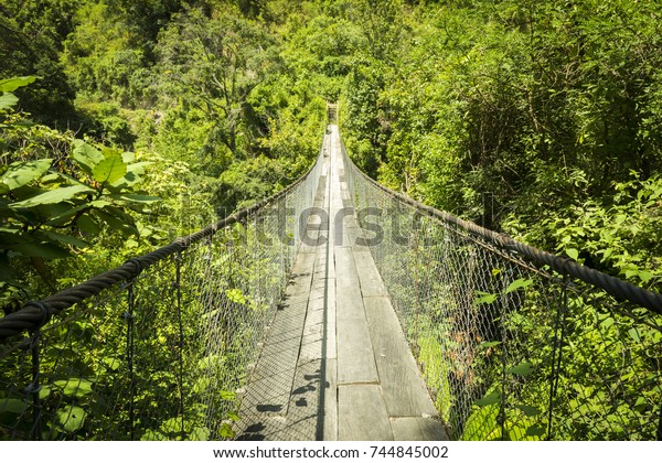Jungle\
bridge over river in Guatemala, Central\
America