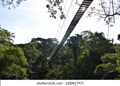 Jungle Canopy Walk, Peruvian Amazon