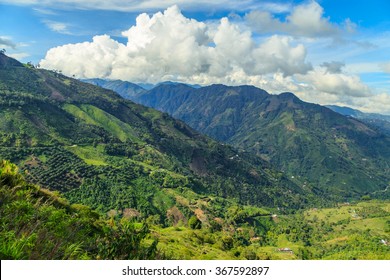 Jungle In Colombian Green Mountains, Colombia, Latin America