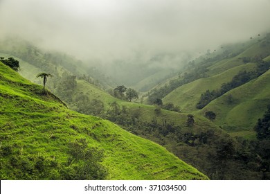 Jungle In Colombian Green Mountains, Colombia, Latin America