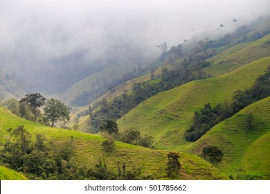 Jungle In Colombian Green Mountains, Colombia, Latin America