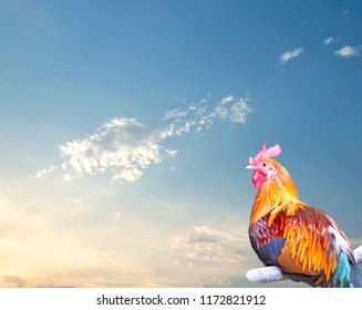 Jungle Fowl On Sky Background Stock Photo 1172821912 | Shutterstock