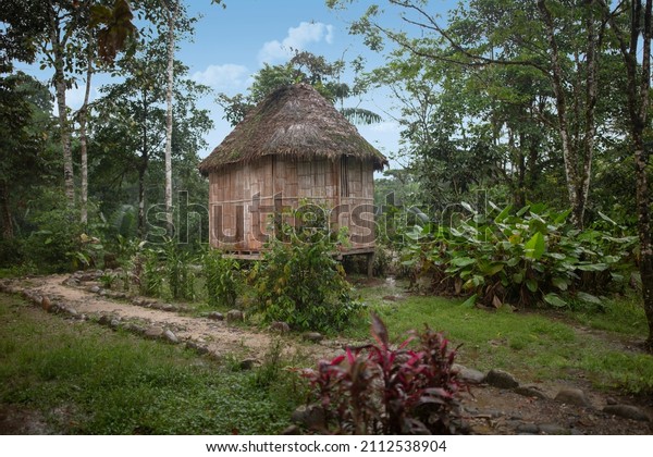 Jungle hut in the Amazonia, surrounded by\
trees, rivers, tropical climate, wild animals, rain in the forest,\
indigenous people\'s dwellings, Tena,\
Ecuador