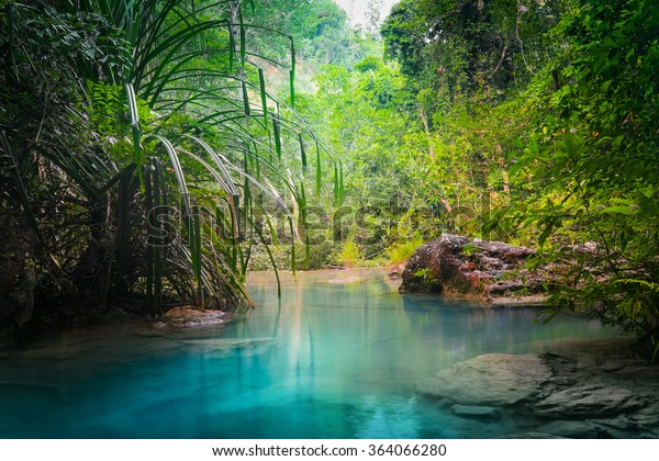 Dschungellandschaft Mit Fliessendem Turkisblauem Wasser Von Stockfoto Jetzt Bearbeiten