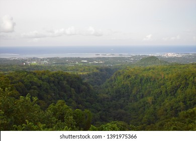 Jungle Landscape, Samoa, Pacific Island