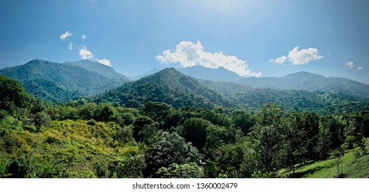 Jungle Mountains In Minca Colombia