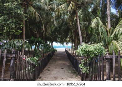 Jungle path lined by exotic palm trees down onto a paradise beach in San Juan del Sur, west Nicaragua