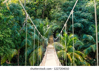 Jungle rope bridge hanging in rainforest of Honduras on natural green background. Wildlife and nature. Travel and adventure concept