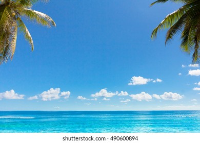 Jungle Sea Island Lagoon Stock Photo 490600894 | Shutterstock