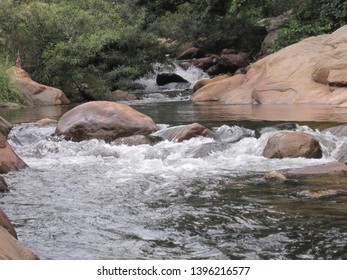 A Jungle Stream Flows Through The Chinnar Wildlife Sanctuary