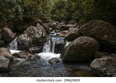 Jungle Stream, Panama