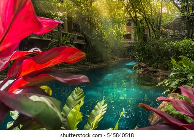 Jungle swimming pool style under trees and house background at sunshine time - Powered by Shutterstock