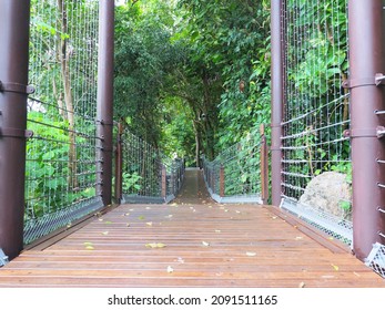 Jungle Swing Bridge, Wooden Walking Swing Bridge In Forest, A Suspension Bridge