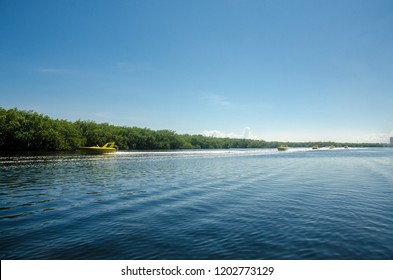 Jungle Tour On A Speed Boat On Cancun´s Mangroves