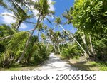 Jungle trail with palm trees, Guam, US Territory