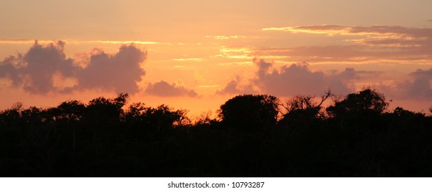 The Jungle Treeline At Dusk Just After Sunset.