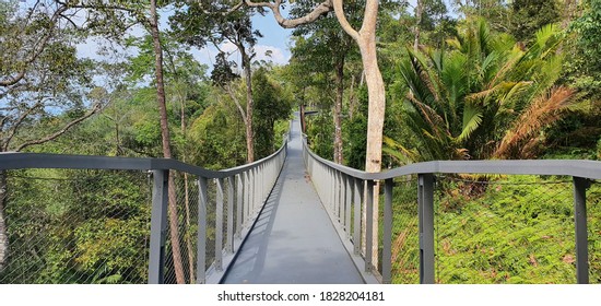 1,403 Penang national park Images, Stock Photos & Vectors | Shutterstock