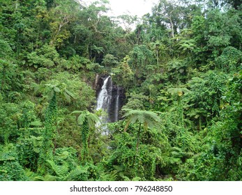 Jungle Waterfall - Samoa