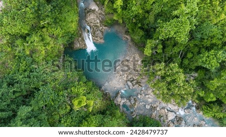 Jungly waterfall on green forest