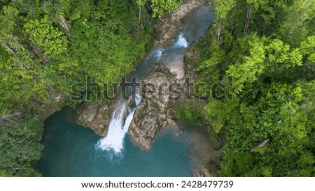 Jungly waterfall on green forest