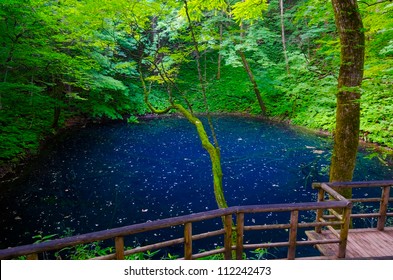 Juniko Lake, Shirakami Sanchi World Heritage, Japan.