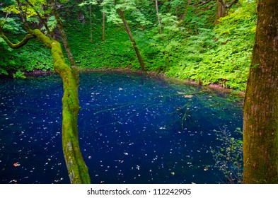 Juniko Lake, Shirakami Sanchi World Heritage, Japan.