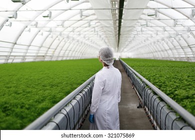 Junior agricultural scientists researching plants and diseases in greenhouse with parsley - Powered by Shutterstock