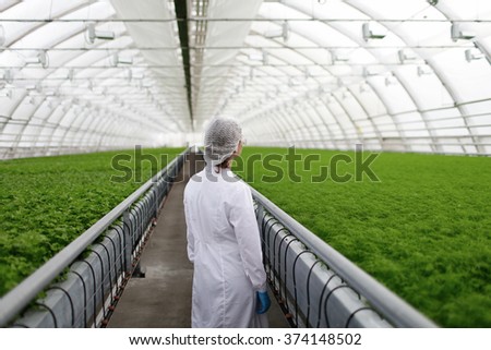 Junior agricultural scientists researching plants and diseases in greenhouse with parsley and green salad. Biotechnology woman engineer examining plant leaf for disease