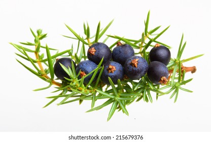 Juniper Berries Isolated On White