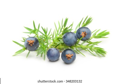 Juniper berries isolated on white background.