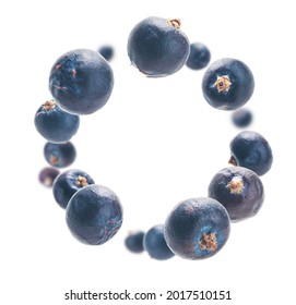 Juniper berries levitate on a white background