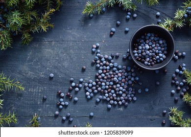 Juniper berries on and beside black bowl. Fresh juniper berries and branches. 