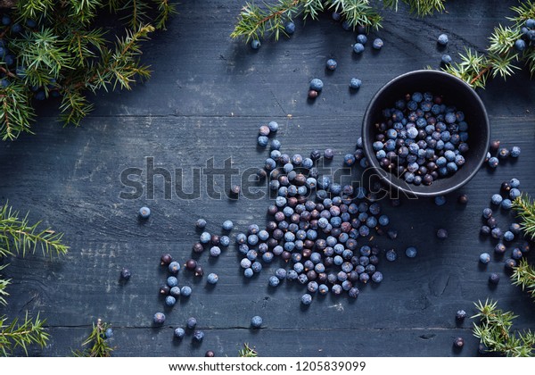 Juniper berries on and beside black bowl.\
Fresh juniper berries and branches.\

